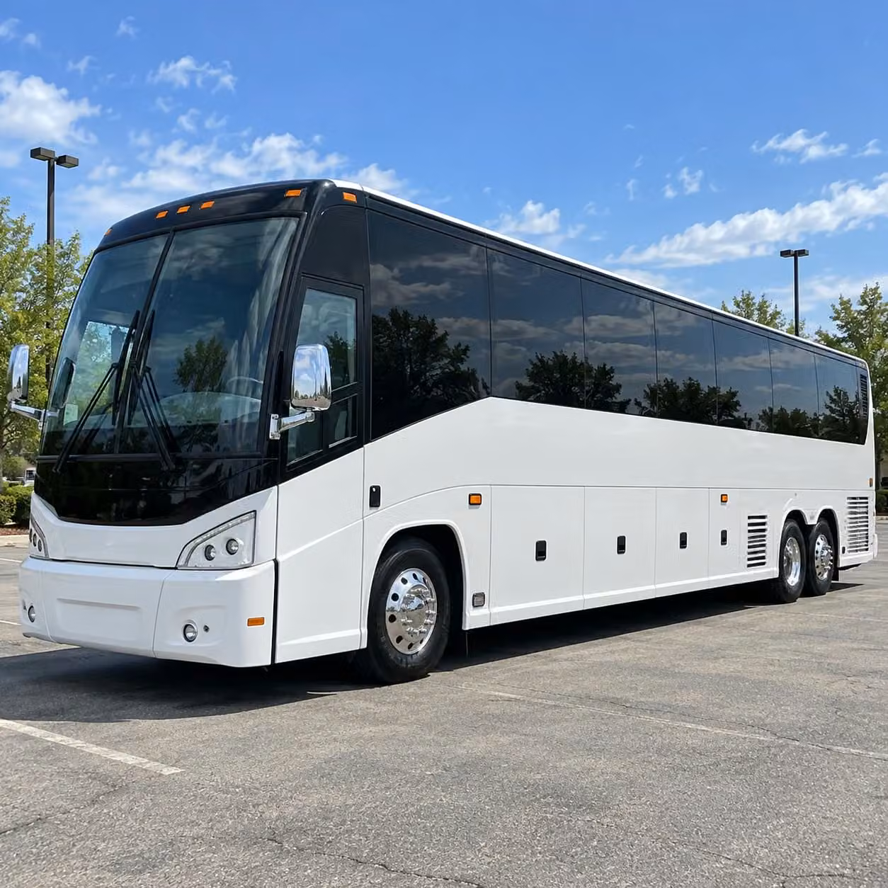 outdoor and environmental field trips from taylorsville made easy